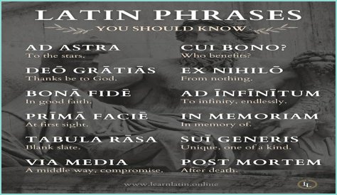 A Profile Of A Latin Beauty