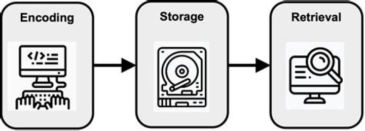 How we encode process store and retrieve information is called?