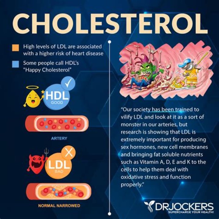 What does VLDL deliver?