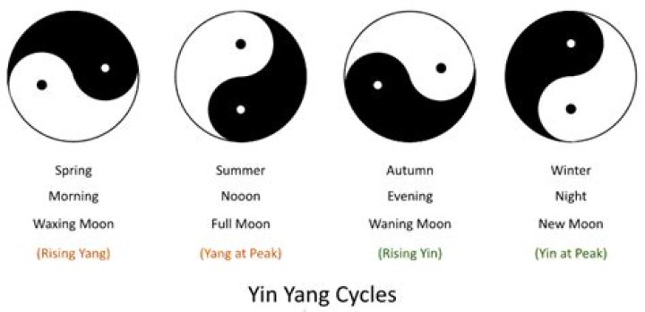 What does yin yang symbolize?