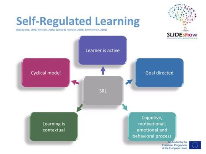 What is self-regulated learning theory?