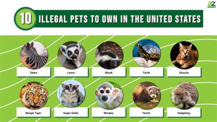 What pets are illegal in Washington state?